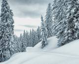 Man snowshoeing in the snowy winter landscape in the mountains in the province of Salzburg