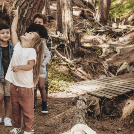 Lachende und laufende Kinder im Wald