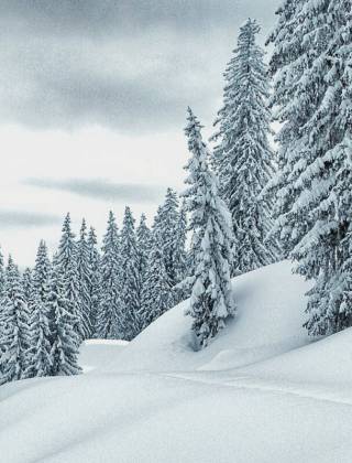 Man snowshoeing in the snowy winter landscape in the mountains in the province of Salzburg