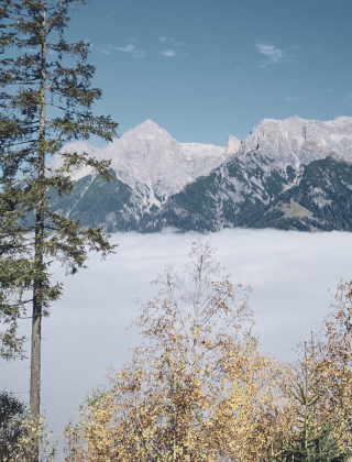 Berge in der Region Hochkönig im Nebel und Wald