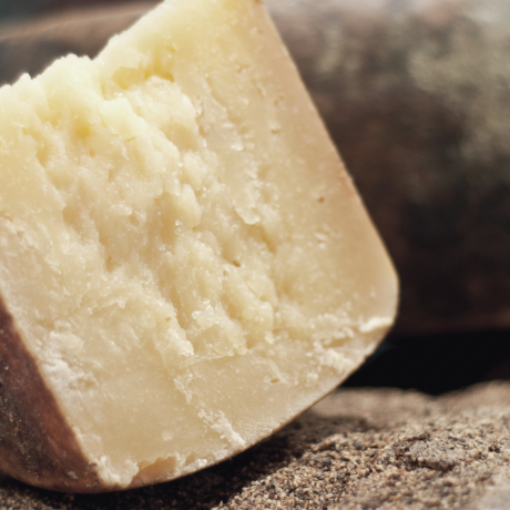 Cheese from the organic farm in Maria Alm