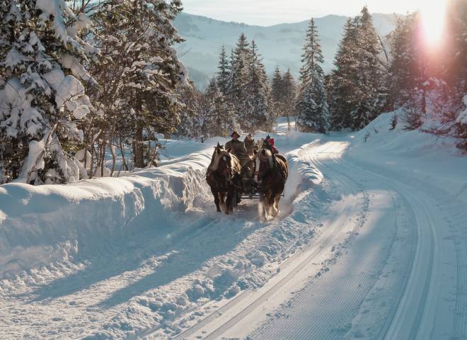 Horse-drawn sleigh rides in a dreamy winter landscape in Salzburger Land with snow-covered mountains and trees