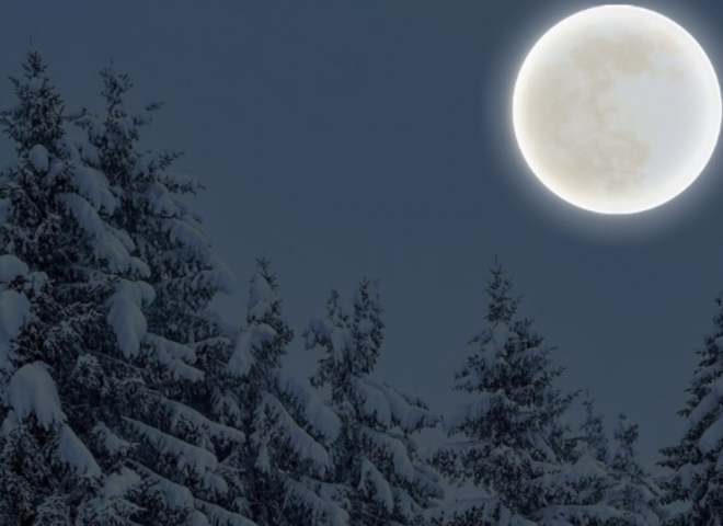 Snow-covered forest at full moon