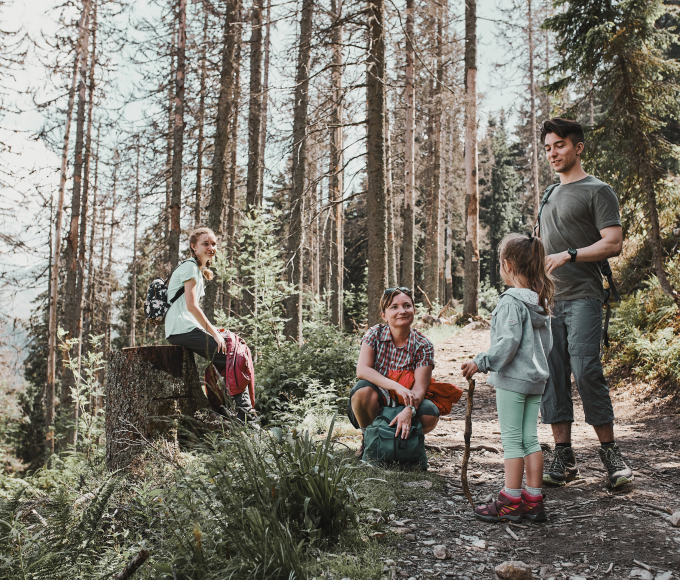 Familie beim Wandern im Wald