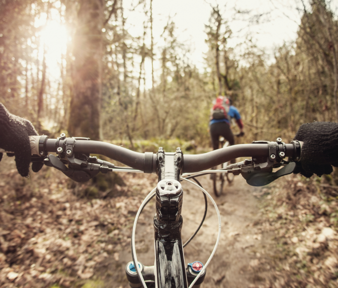 Mountain biking in the Alps - active holidays at Hotel die HOCHKÖNIGIN