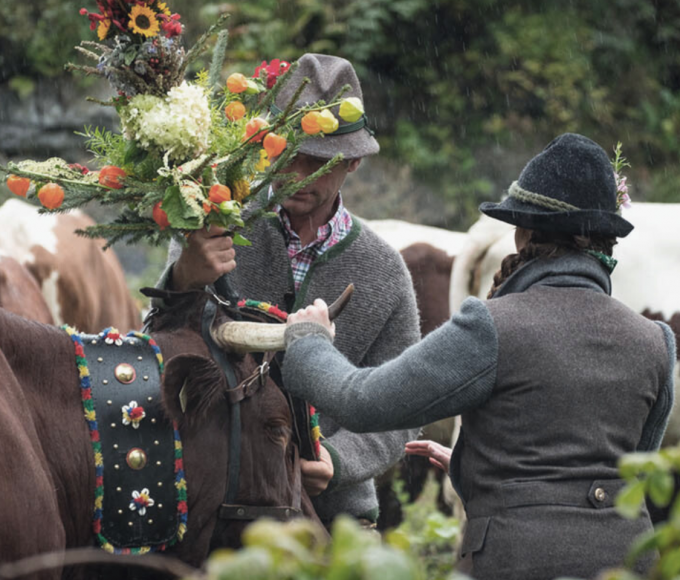 Bauer und Bäuerin schmücken Kuh für den Almabtrieb beim Bauernherbst in Maria Alm im Salzburger Land