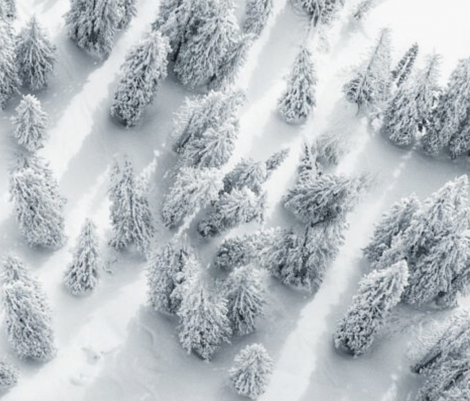 Verschneite Bäume aus der Vogelperspektive im Winterwald am Hochkönig – stille Natur und magische Winterstimmung in den Alpen.