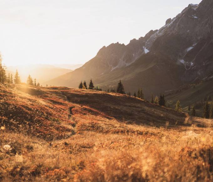 Warum der Herbst am Hochkönig eine der schönsten Reisezeiten ist: Wenn die Berge ihre Farben wechseln - Wellnesshotel die HOCHKÖNIGIN