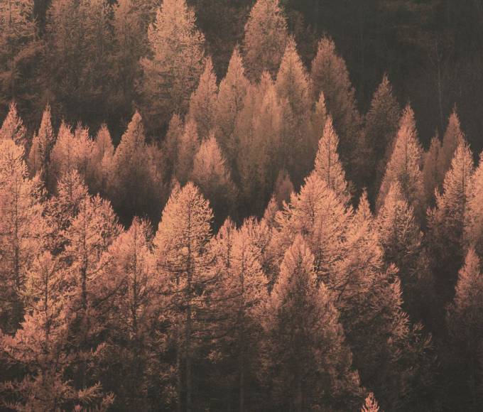 Warum der Herbst die schönste Zeit für Wellness ist: Weniger Hektik. Mehr Zeit für sich. - Wellnesshotel die HOCHKÖNIGIN