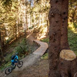 Waldpfad für Mountainbiker