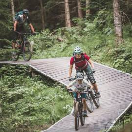 Bike Trail durch den Wald in Österreich