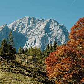 Herbst in der HOCHKÖNIGIN Salburger Land Maria Alm Natur wandern Berge