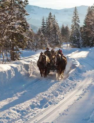 Pferdekutschenfahrt bei Sonnenschein und Schneelandschaft