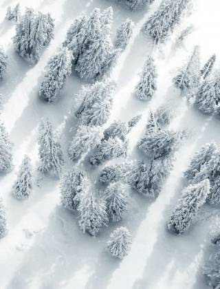 Tannen mit Schnee bedeckt Luftaufnahme