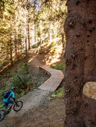 Waldpfad für Mountainbiker