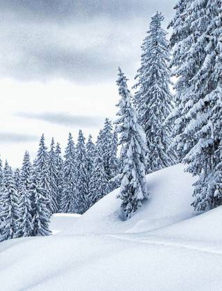 Schneeschuhwandern am Hochkönig