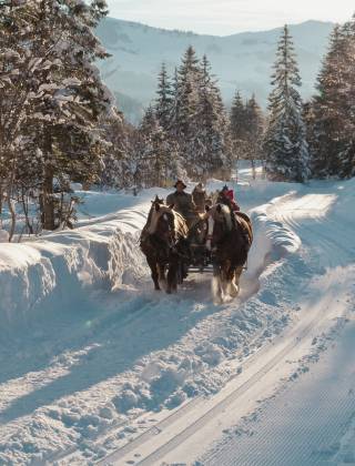 Pferdeschlittenfahrten in einer traumhaften Winterlandschaft im Salzburger Land mit verschneiten Bergen und Bäumen