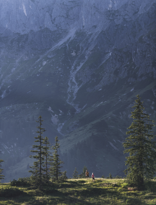 Couple hiking in the mountains on an alpine meadow