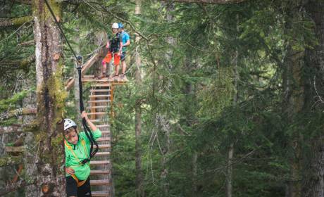 Flying Fox zwischen Baumwipfeln 