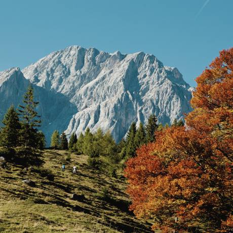 Herbst in der HOCHKÖNIGIN Salburger Land Maria Alm Natur wandern Berge