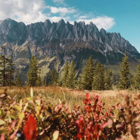 Autumn in the HOCHKÖNIGIN Salburger Land Maria Alm Nature Mountains 