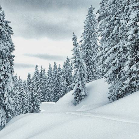 Mann beim Schneeschuhwandern in der verschneiten Winterlandschaft in den Bergen im Salzburger Land
