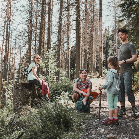 Familie beim wandern im Wald
