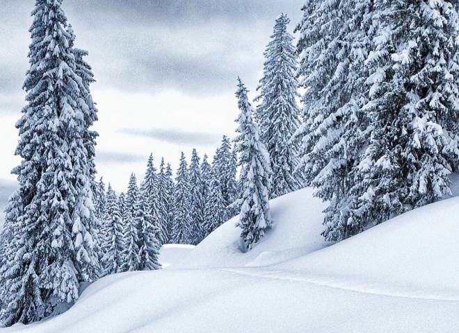 Schneeschuhwandern am Hochkönig