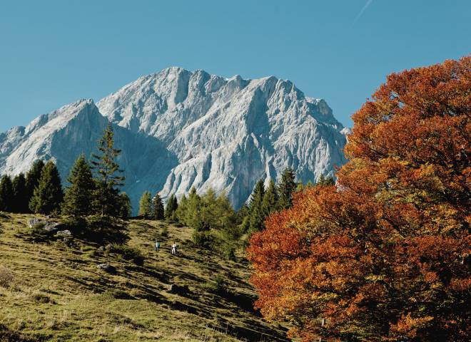 Herbst in der HOCHKÖNIGIN Salburger Land Maria Alm Natur wandern Berge
