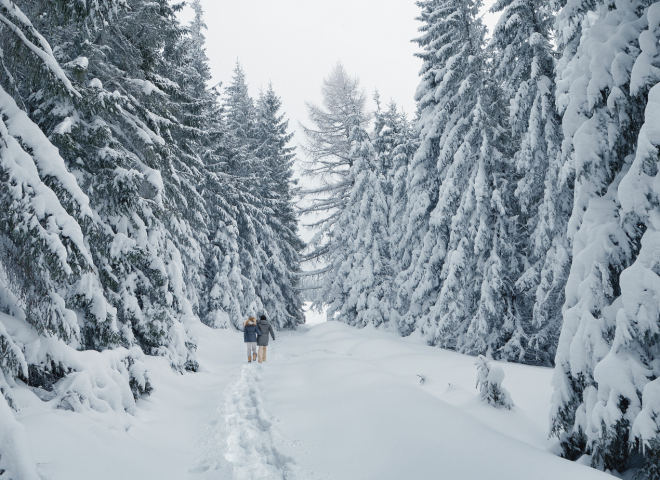 Couple on a winter walk framed by fir trees and covered in deep snow