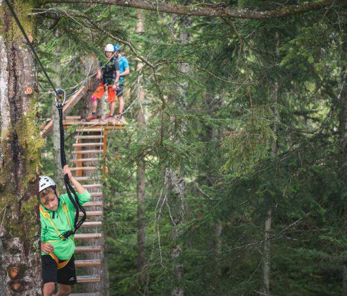 Flying Fox zwischen Baumwipfeln 
