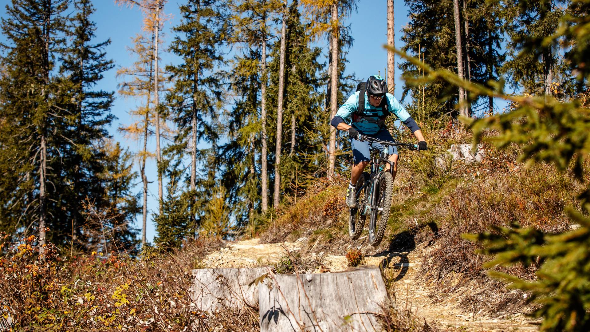 Mountainbiker fährt Waldpfad entang
