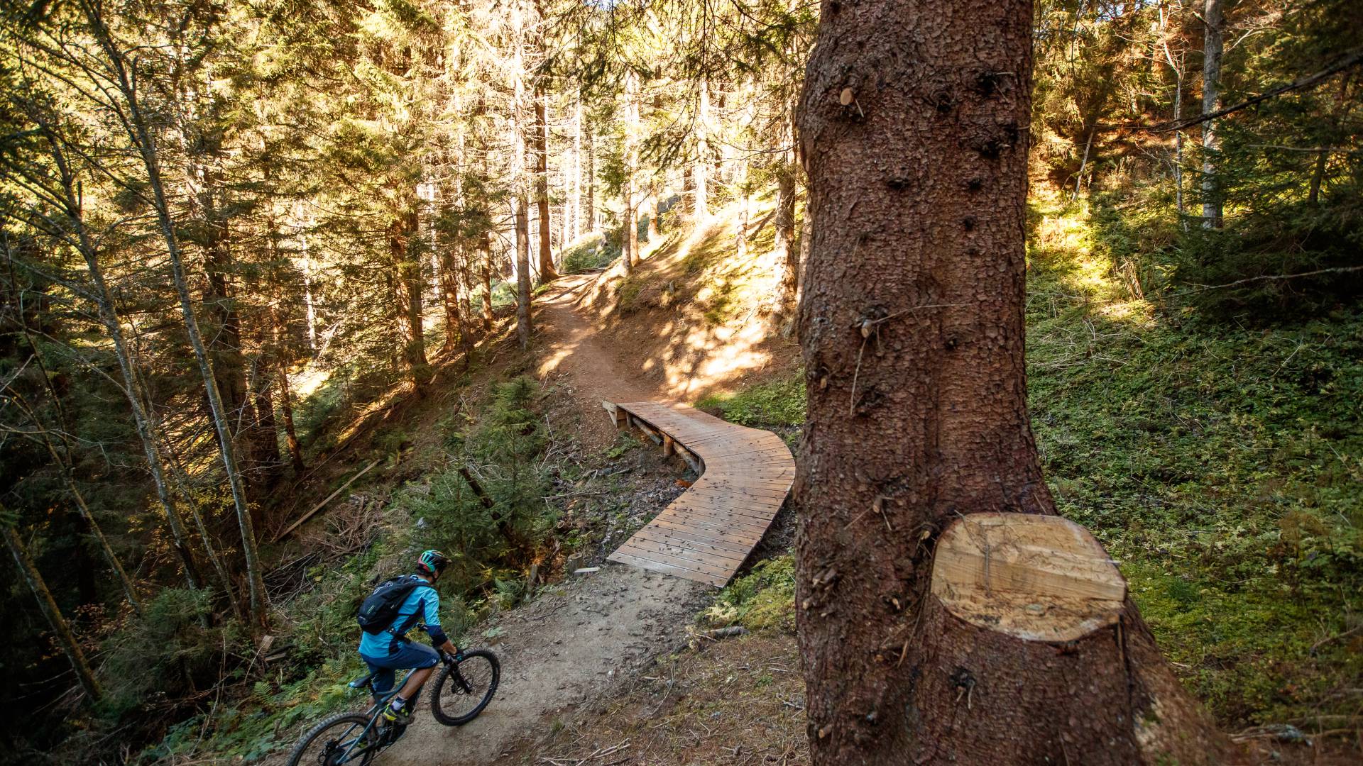 Waldpfad für Mountainbiker