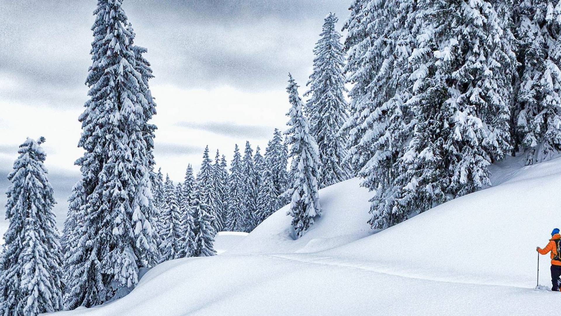 Schneeschuhwandern am Hochkönig