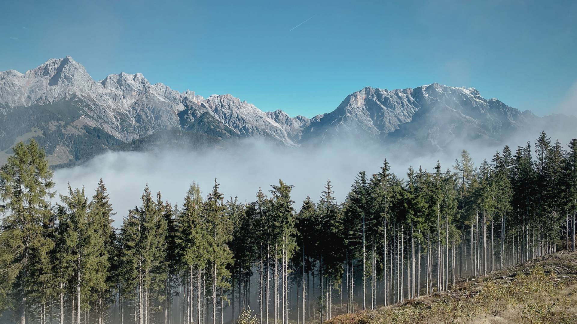 Herbst in der HOCHKÖNIGIN Salburger Land Maria Alm Natur wandern Berge