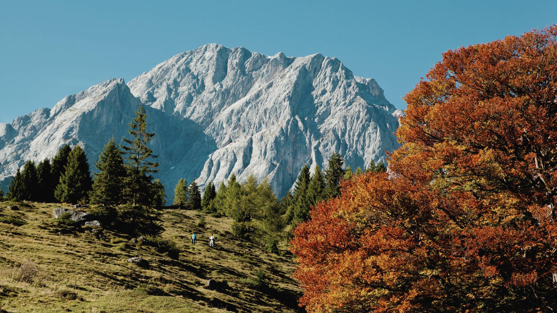 Autumn in the HOCHKÖNIGIN Salburger Land Maria Alm Nature Hiking Mountains