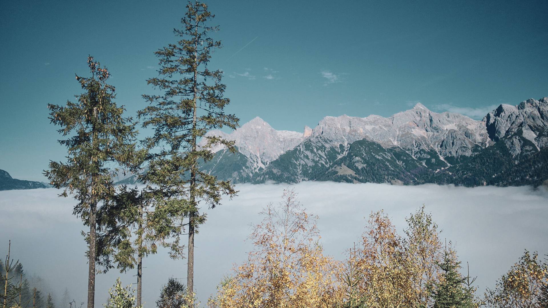 Herbst in der HOCHKÖNIGIN Salburger Land Maria Alm Natur wandern Berge
