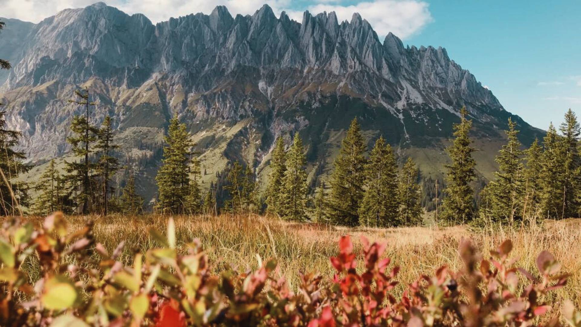 Herbst in der HOCHKÖNIGIN Salburger Land Maria Alm Natur Berge 